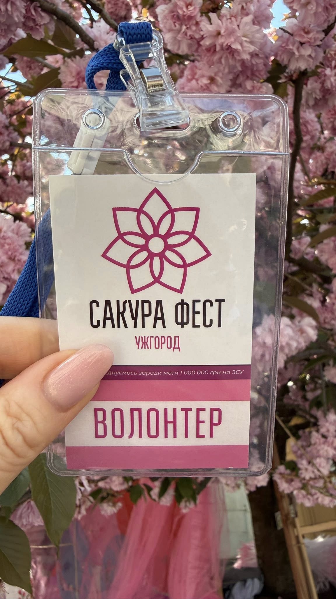 Сакура-фест Ужгород