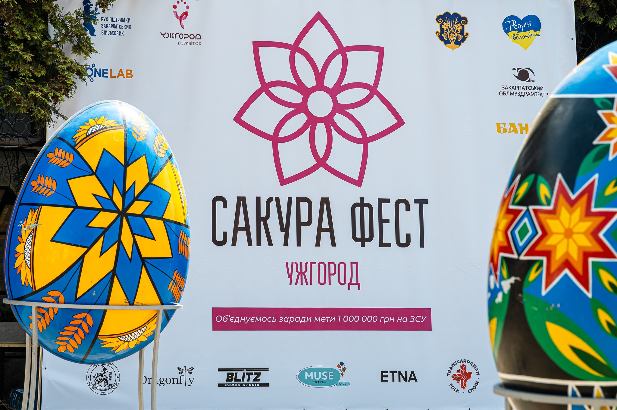 Сакура-фест Ужгород
