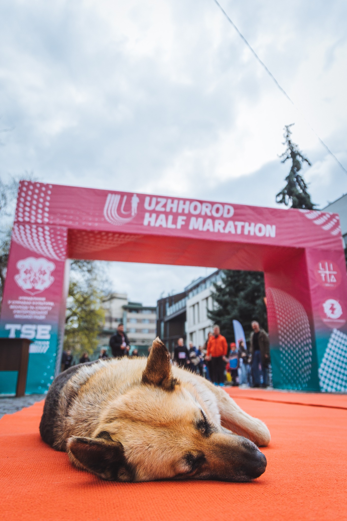 Сакура-фест Ужгород