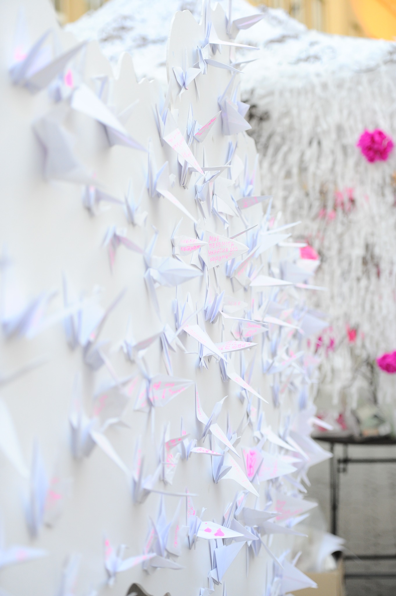 Сакура-фест Ужгород