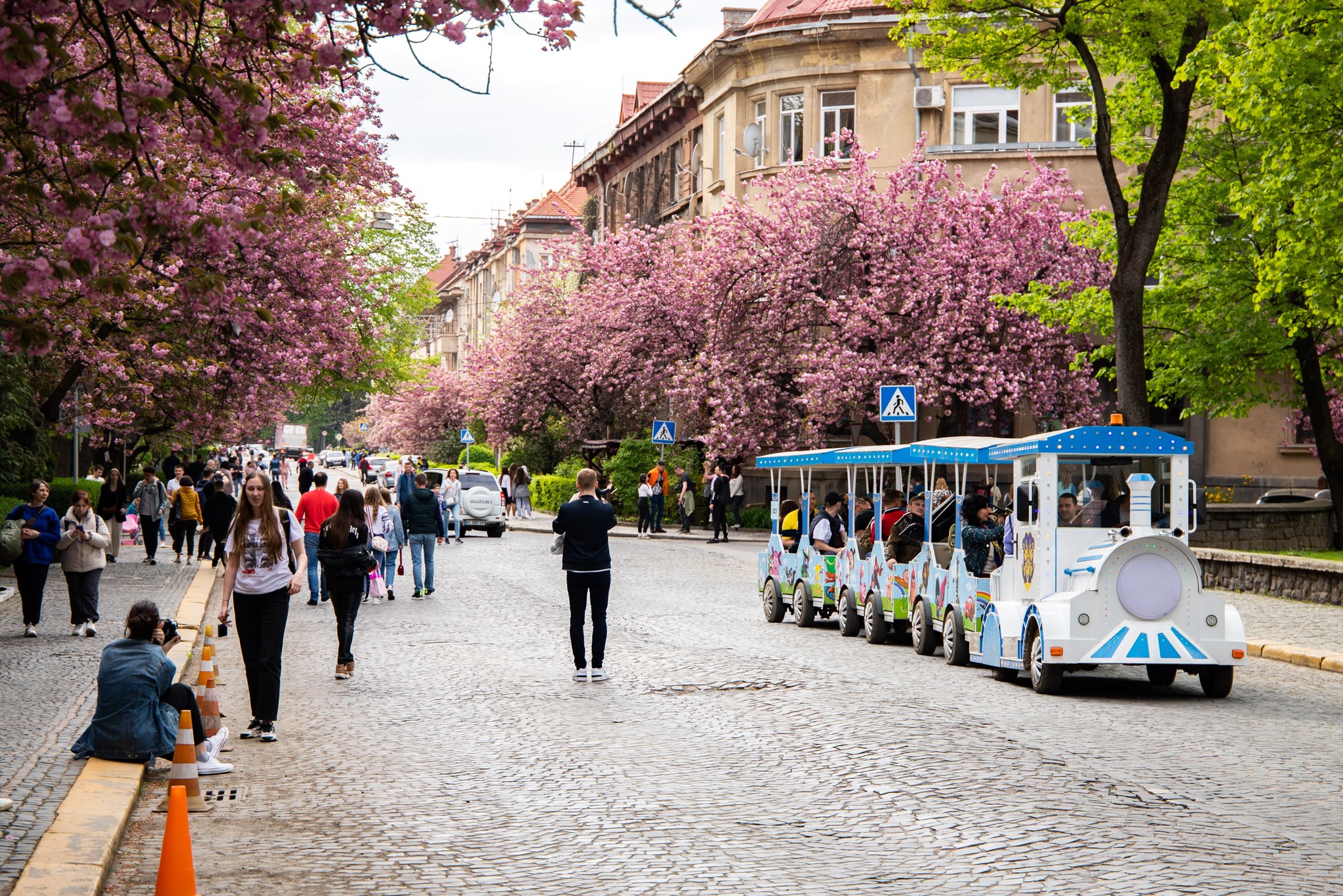 Сакура-фест Ужгород